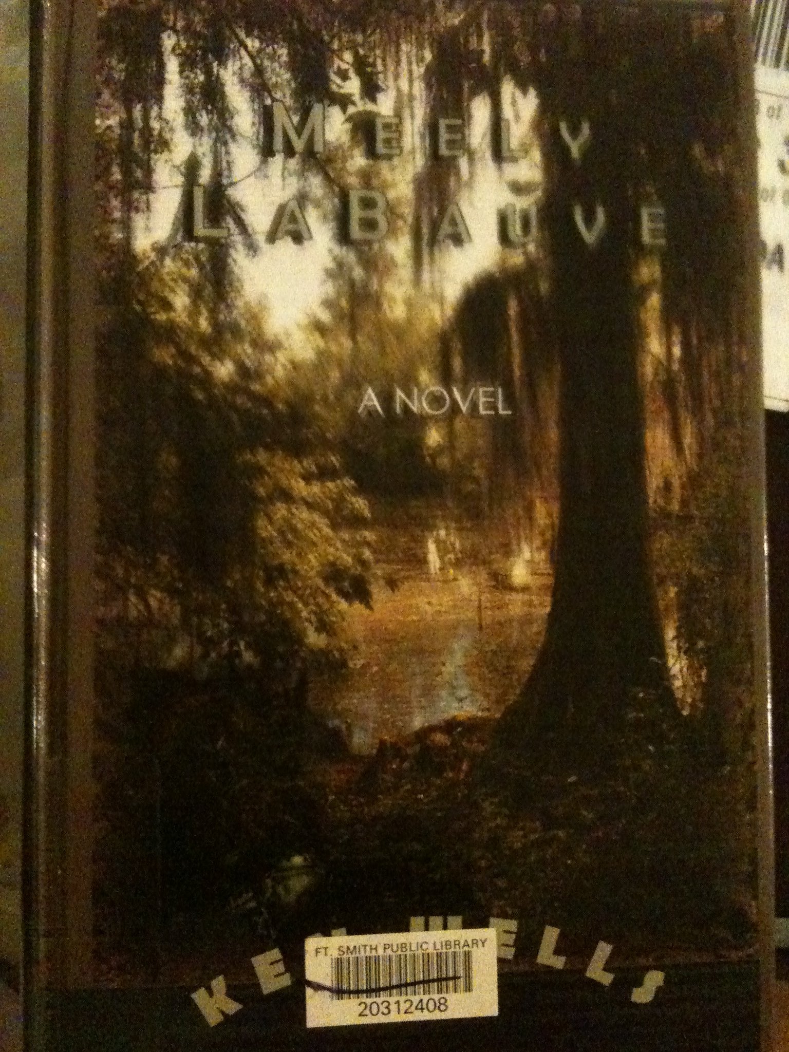 Meely Labauve (Thorndike Press Large Print Americana Series) Contemporary literature