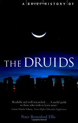 A Brief History of the Druids (The Brief History) Politics & History
