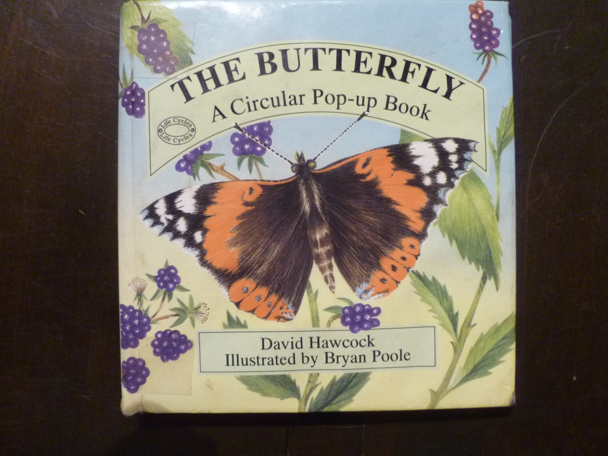 The Butterfly: A Circular Pop-Up Book (Life Cycles) Non-fiction