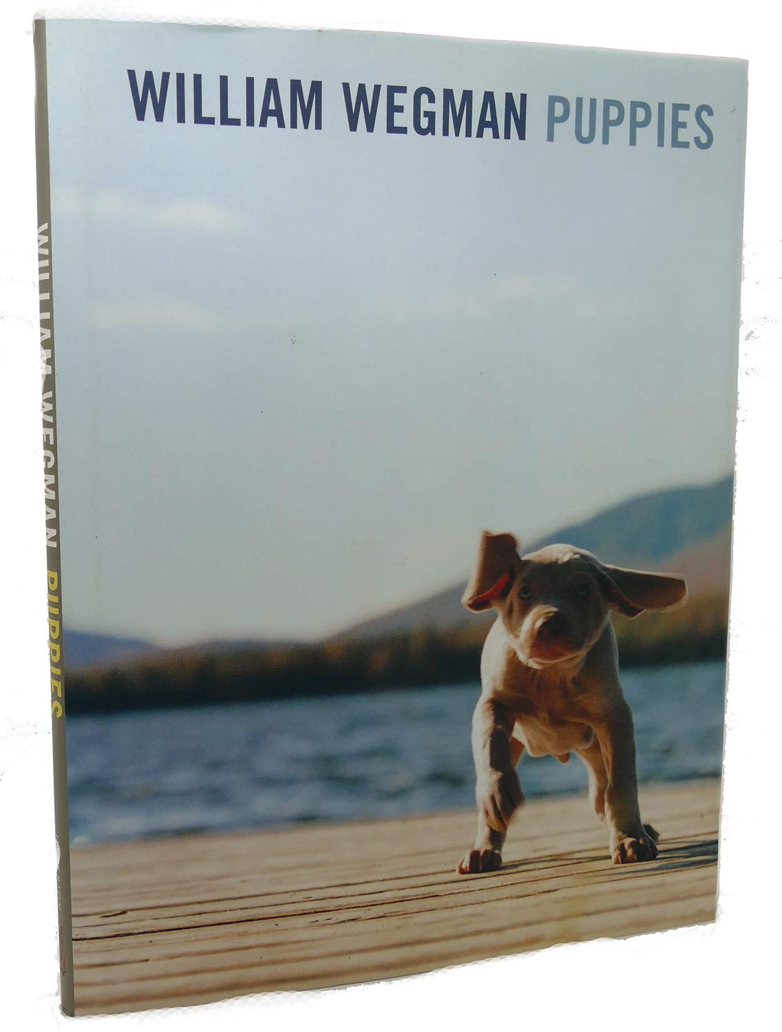 Product Image: William Wegman Puppies