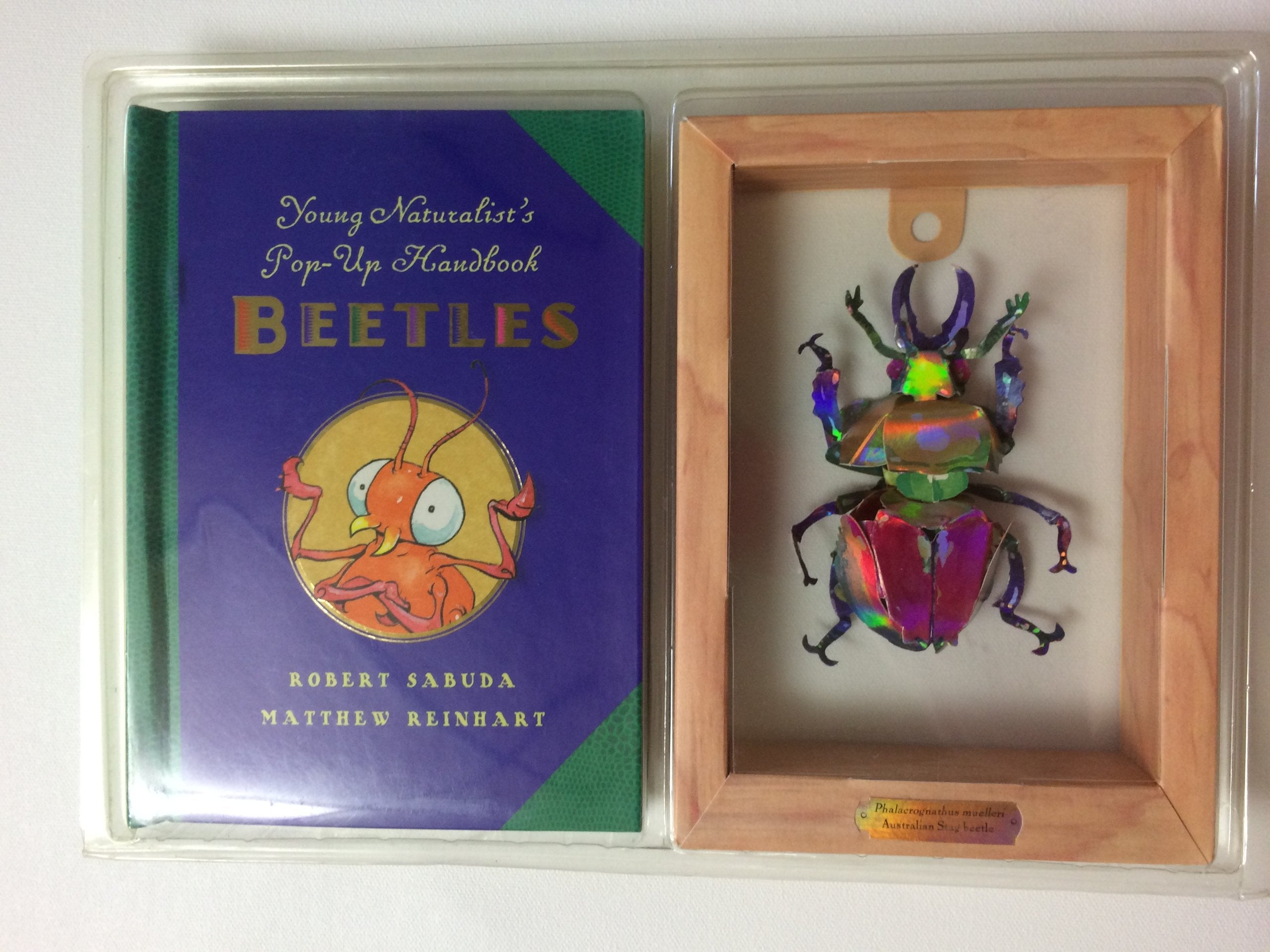 Young Naturalist's Pop-up Handbook: Beetles (Young Naturalist's Handbook) Non-fiction