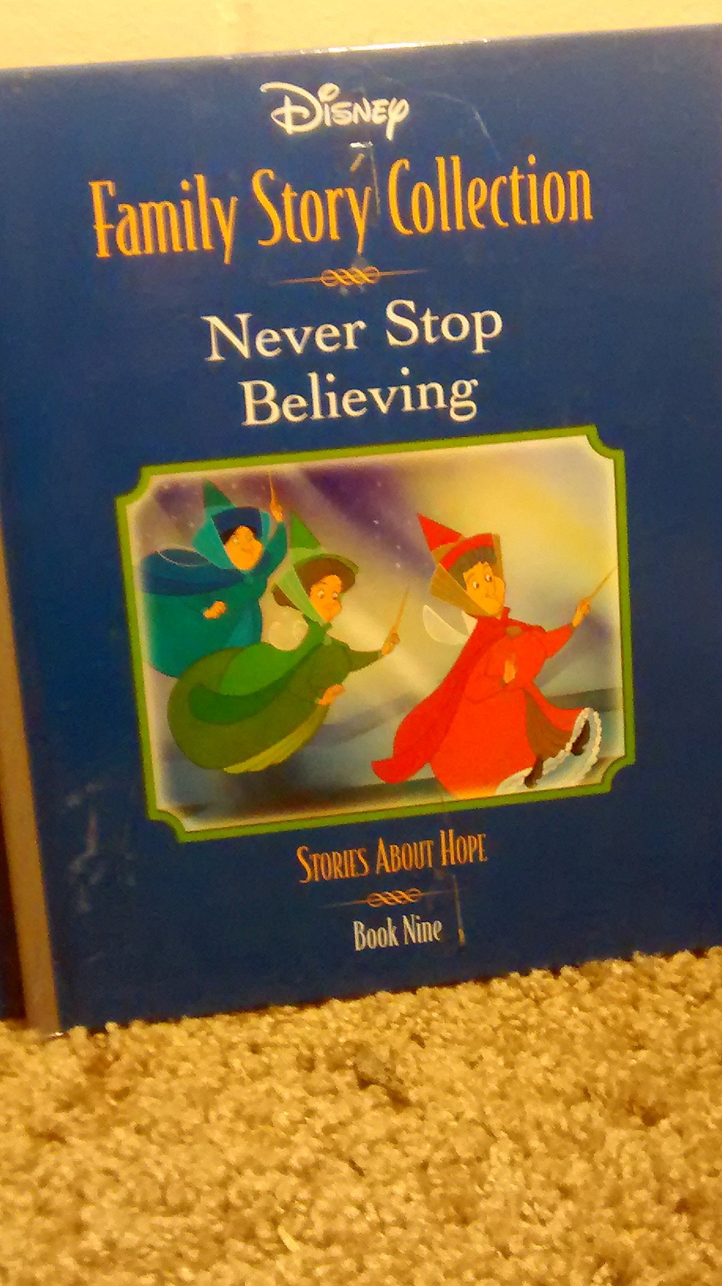 Never Stop Believing: Stories About Hope (Disney Family Story Collection, 9) Books