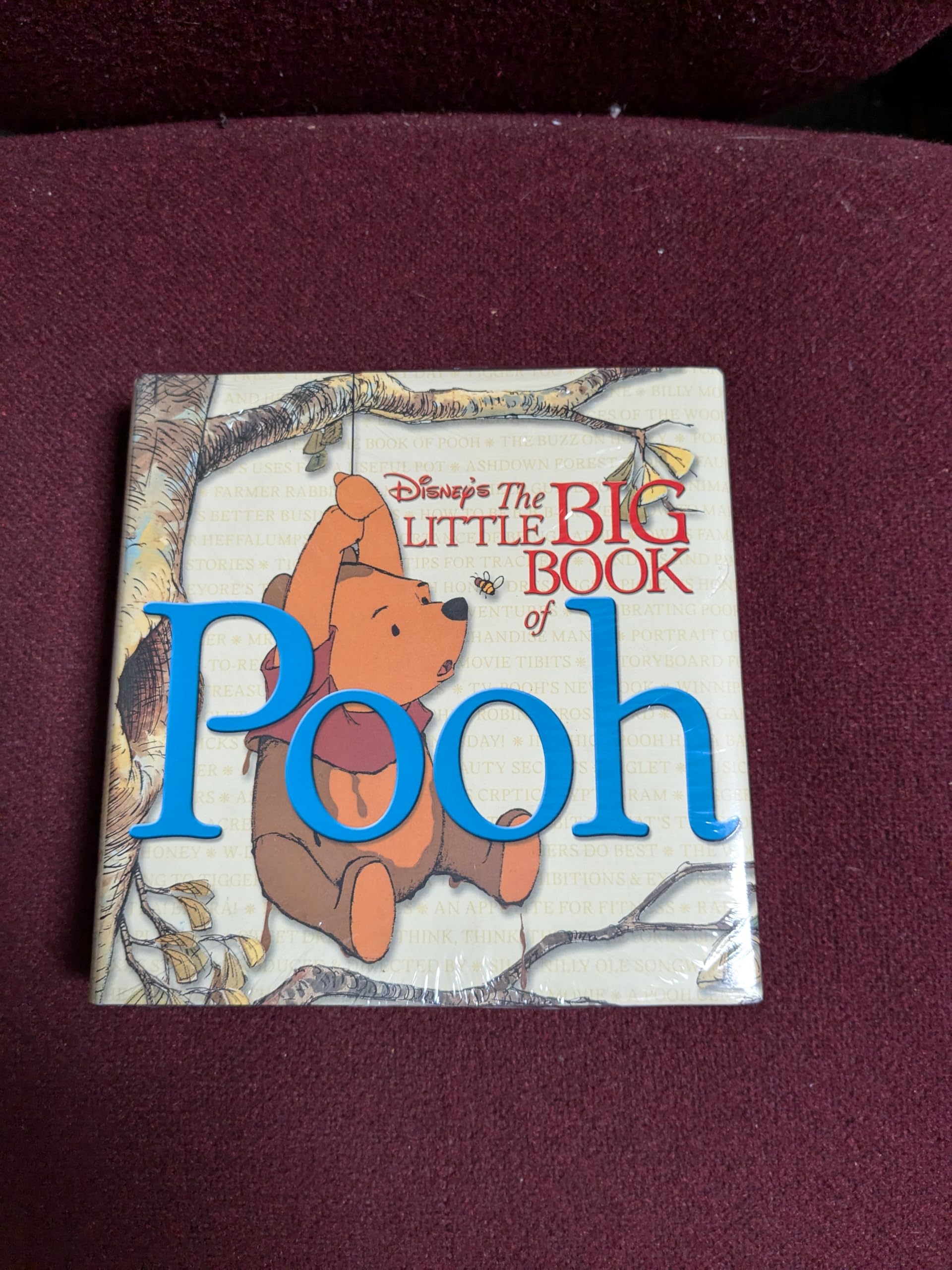 The Little Big Book of Pooh Film, Art & Culture