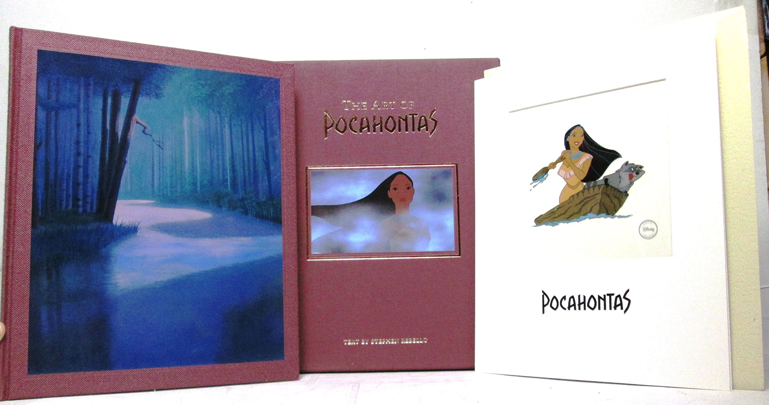 The Art of Pocahontas Novels & Short Stories