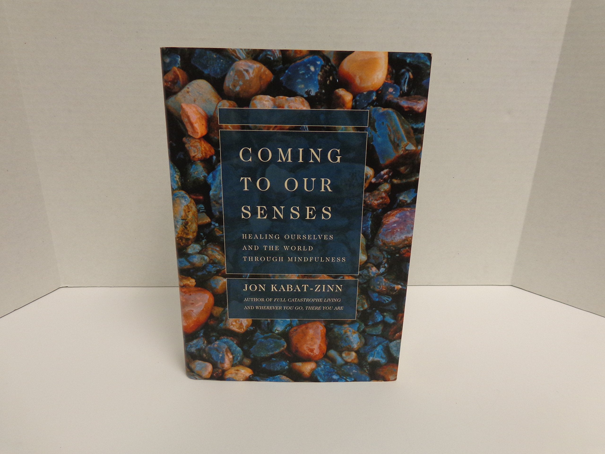 Coming to Our Senses: Healing Ourselves and the World Through Mindfulness (Rough Cut) Stationery