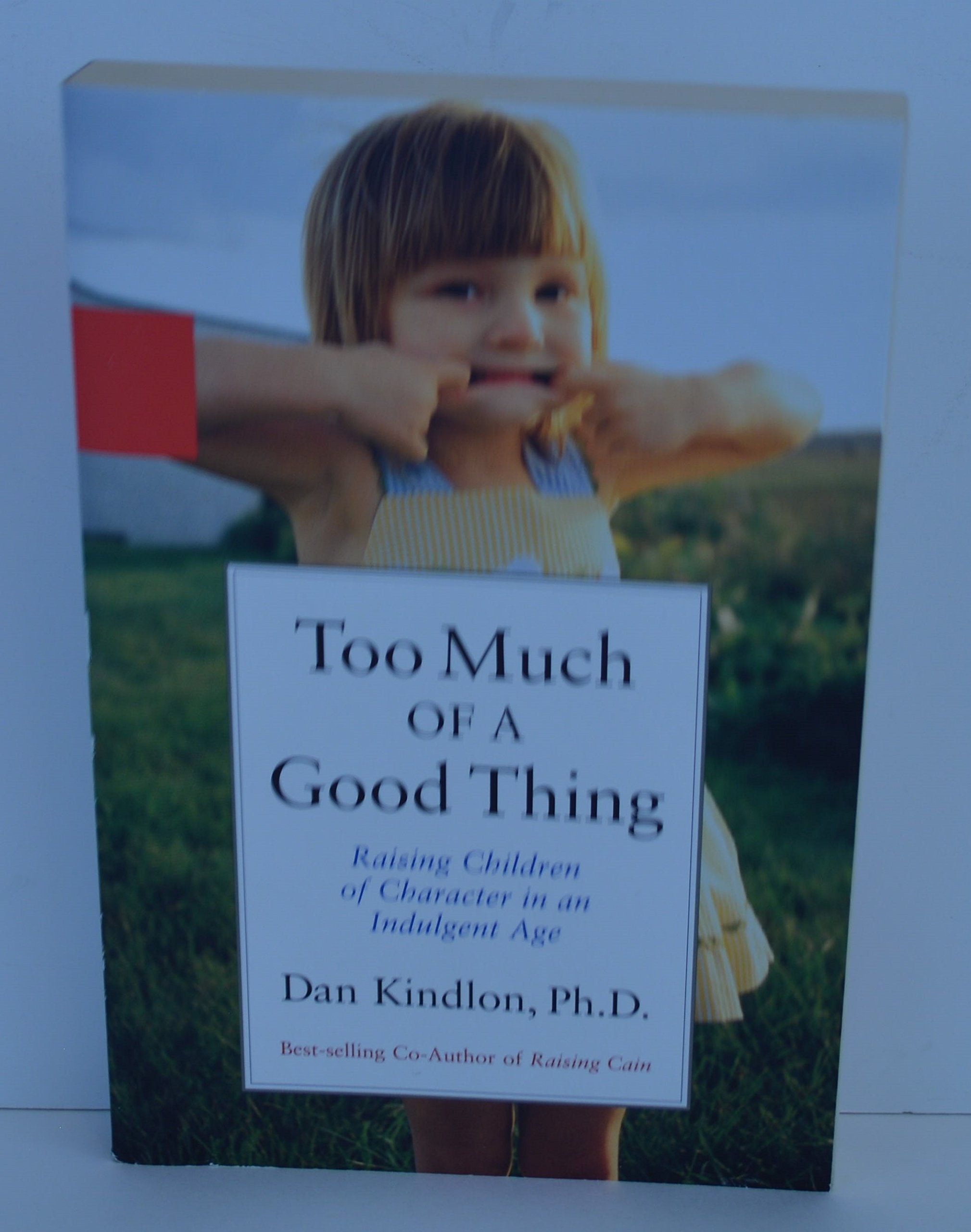 Too Much of a Good Thing: Raising Children of Character in a Permissive Culture book