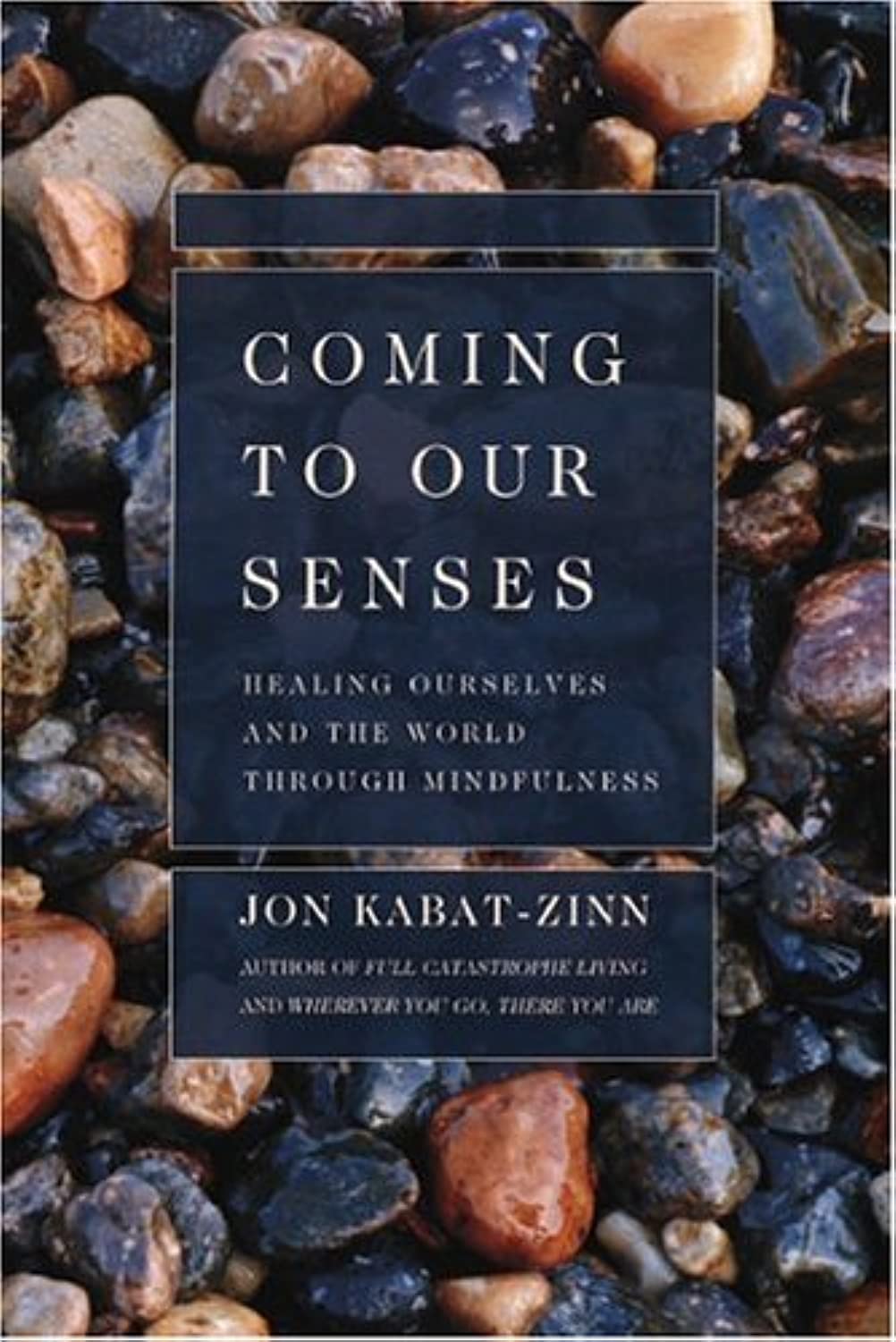 Coming to Our Senses Medicine