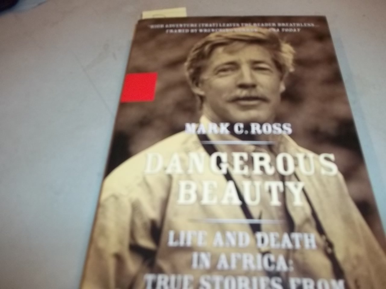 Dangerous Beauty - Life and Death in Africa: Life and Death In Africa: True Stories From a Safari Guide Art & Literature Books