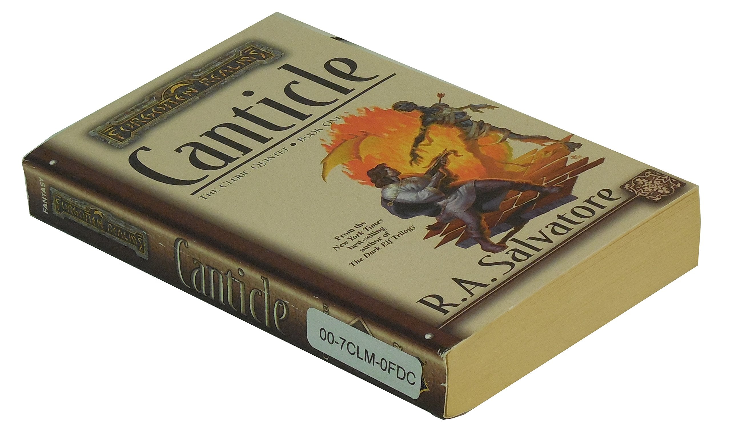 Canticle (Forgotten Realms: the Cleric Quintet, 1, Band 1) Fantasy & Sci-Fi