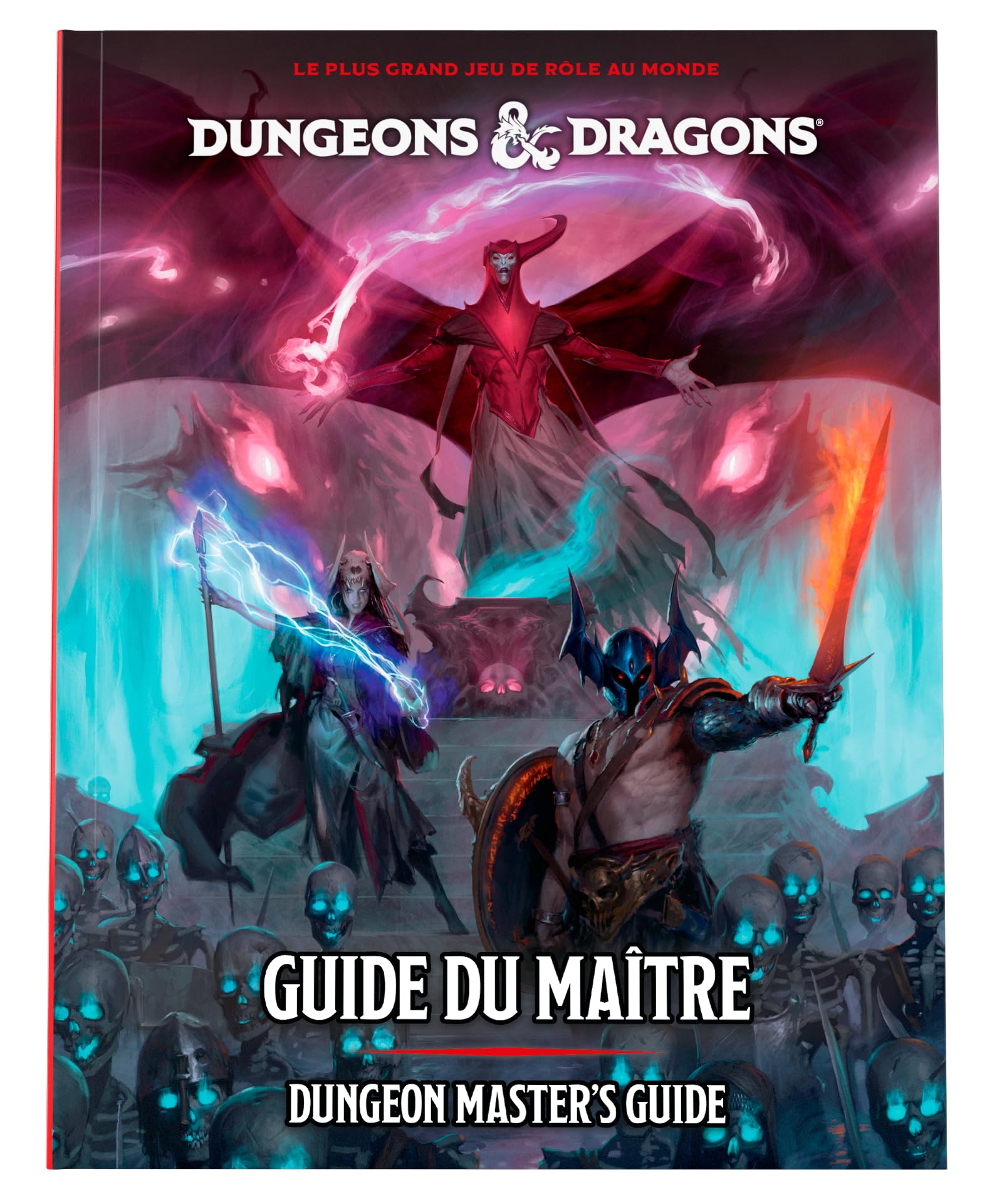 Dungeons & Dragons Dungeon Master's Guide (2024) (Version Française) book