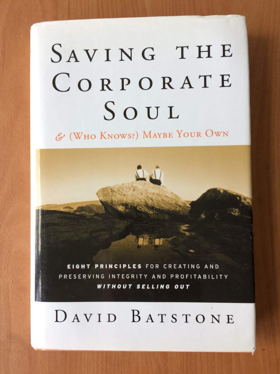 Saving the Corporate Soul--And Who Knows? Maybe Your Own: Eight Principles for Creating and Preserving Wealth and Well-Being for You and Your Company Without Selling Out Law