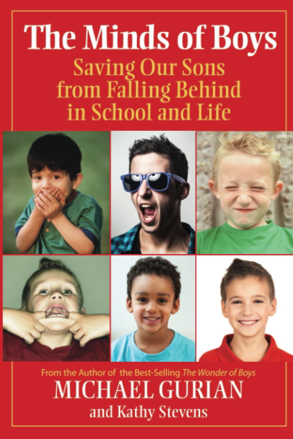 The Minds of Boys: Saving Our Sons From Falling Behind in School and Life Social Sciences