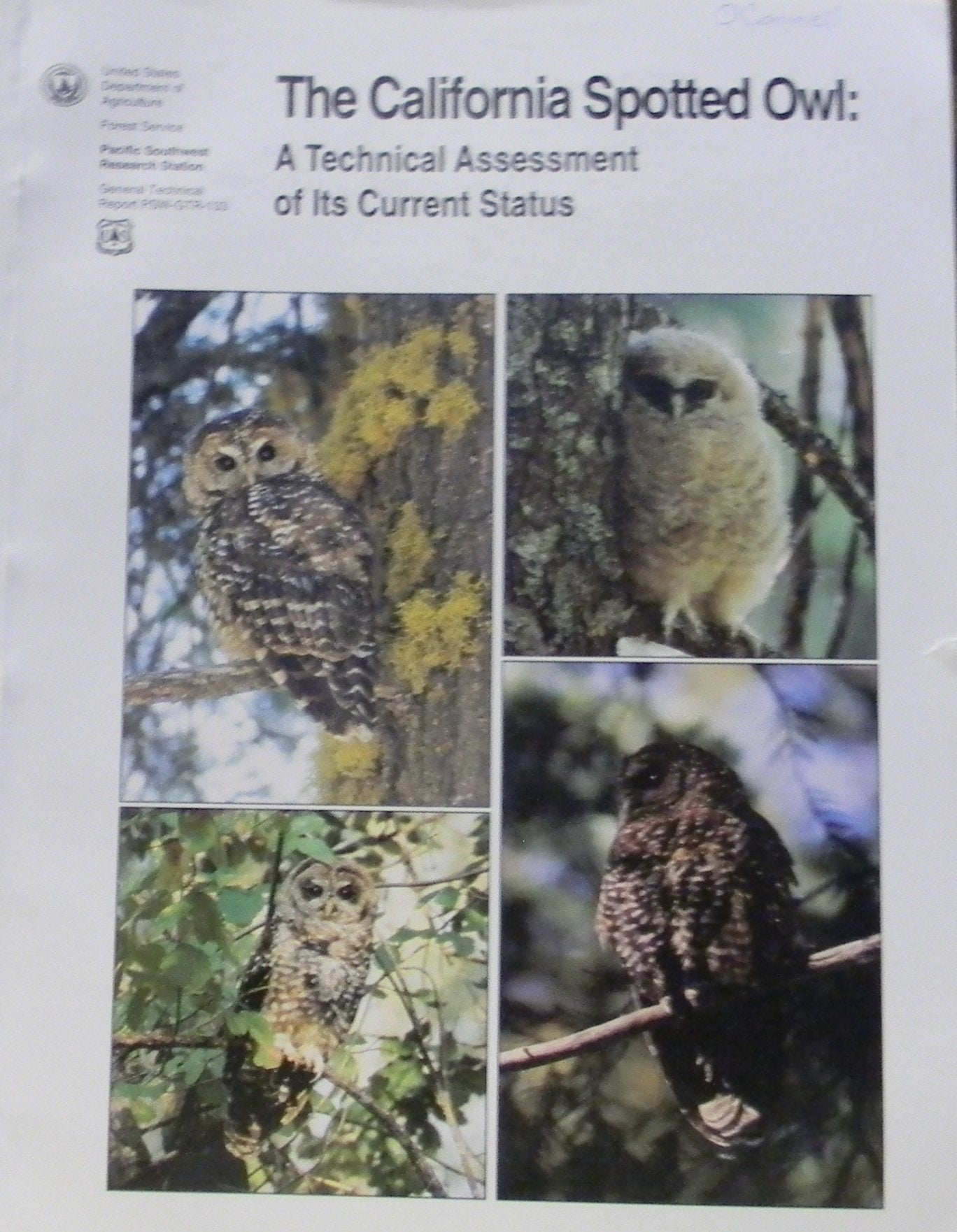 The California Spotted Owl: A Technical Assessment of Its Current Status. Books