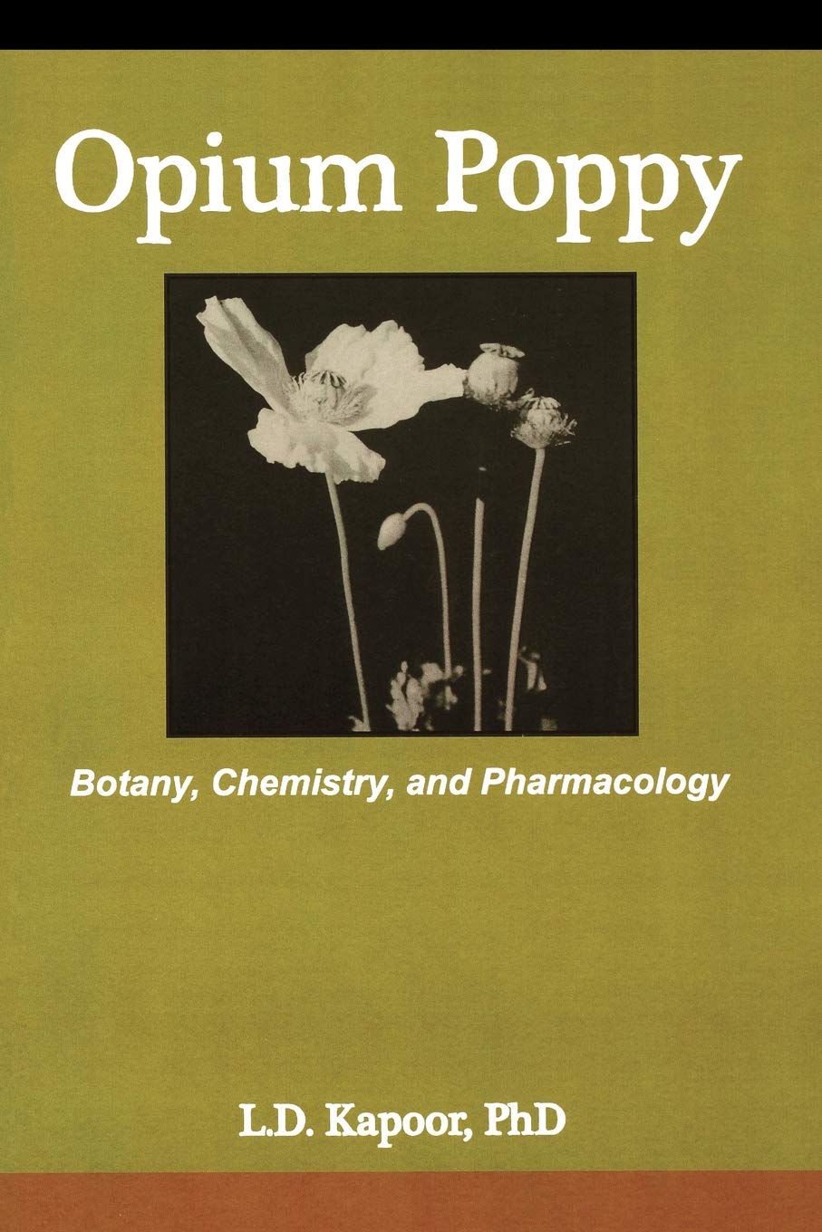 Opium Poppy: Botany, Chemistry, and Pharmacology Medicine