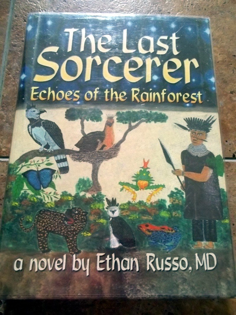 The Last Sorcerer: Echoes of the Rainforest Contemporary literature