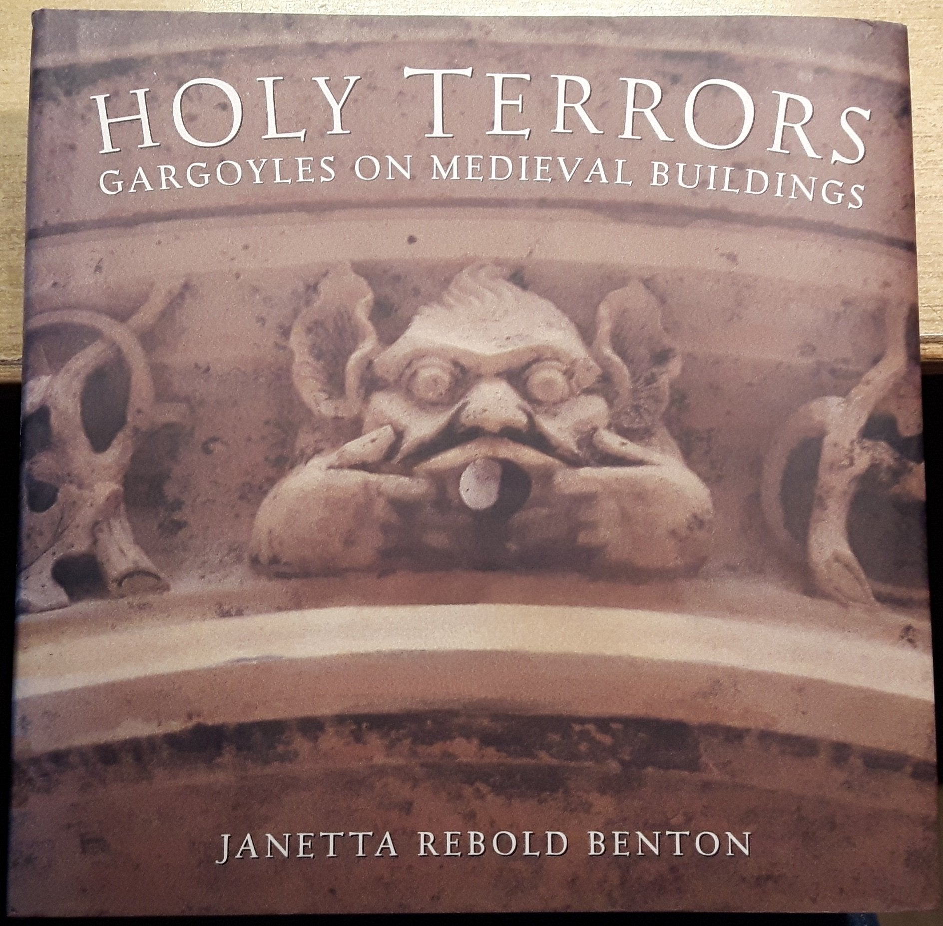Holy Terrors: Gargoyles on Medieval Buildings Architecture