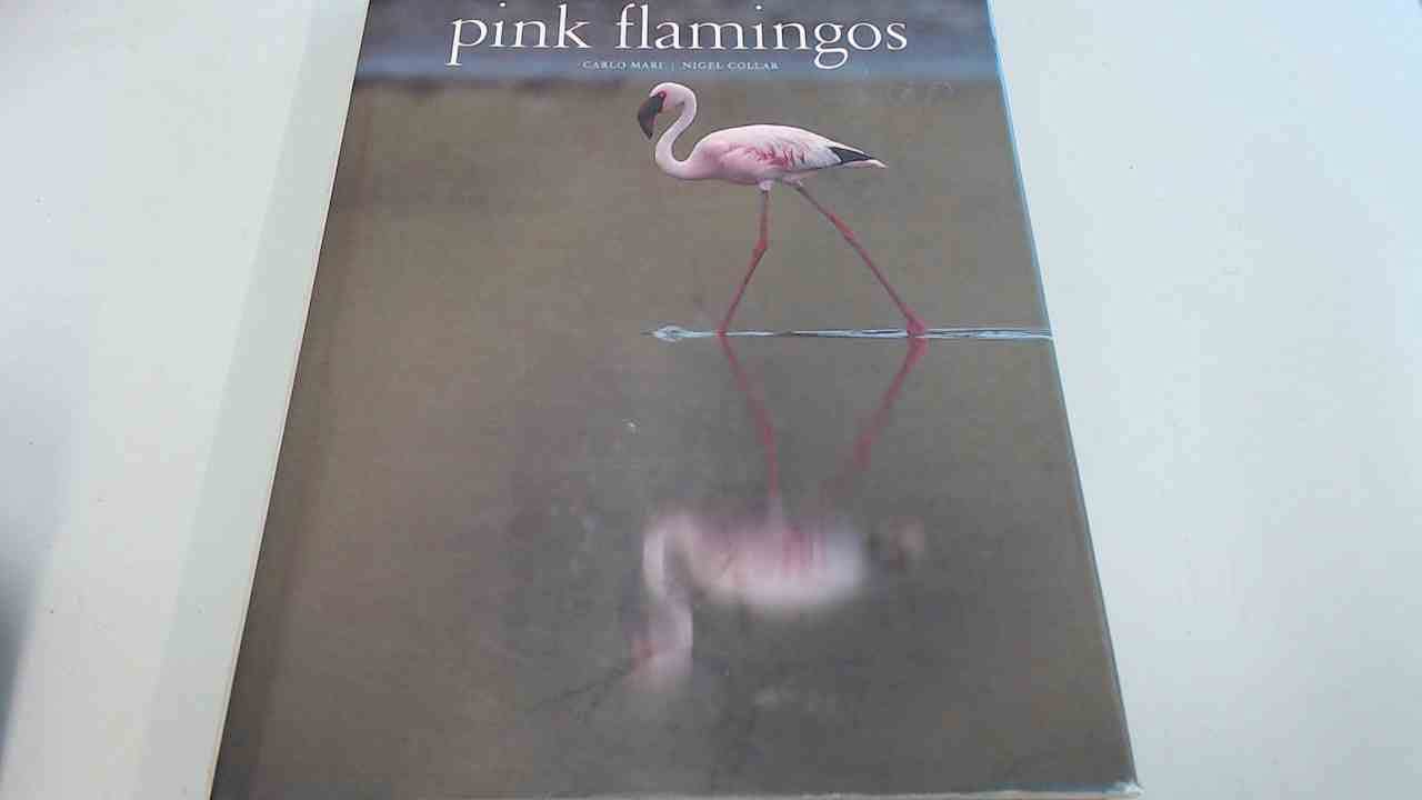 Pink Flamingos: Interviews with Jean-Louis Missika and Dominique Wolton = Le Spectateur Engage Mathematics