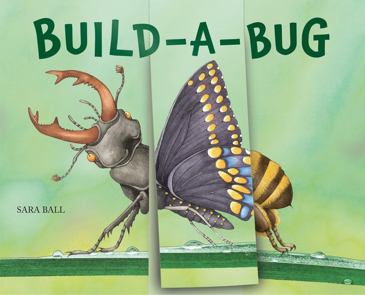 Build-a-Bug: Make Your Own Wacky Insect! (Mix-And-Match Board Books) Leisure, Home & Garden