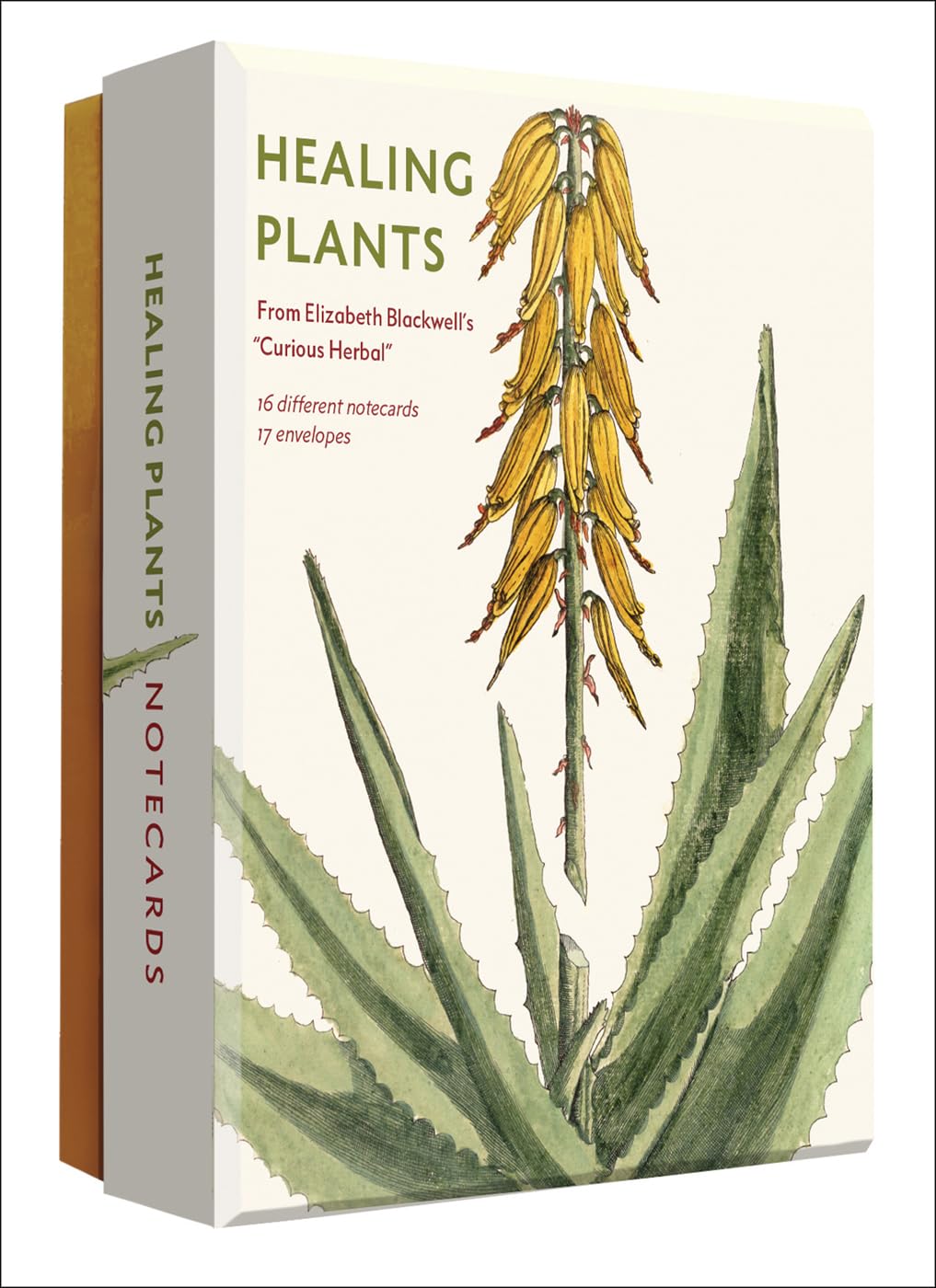 Healing Plants: From Elizabeth Blackwell's Curious Herbal (Abbeville Notecards) Film, Art & Culture