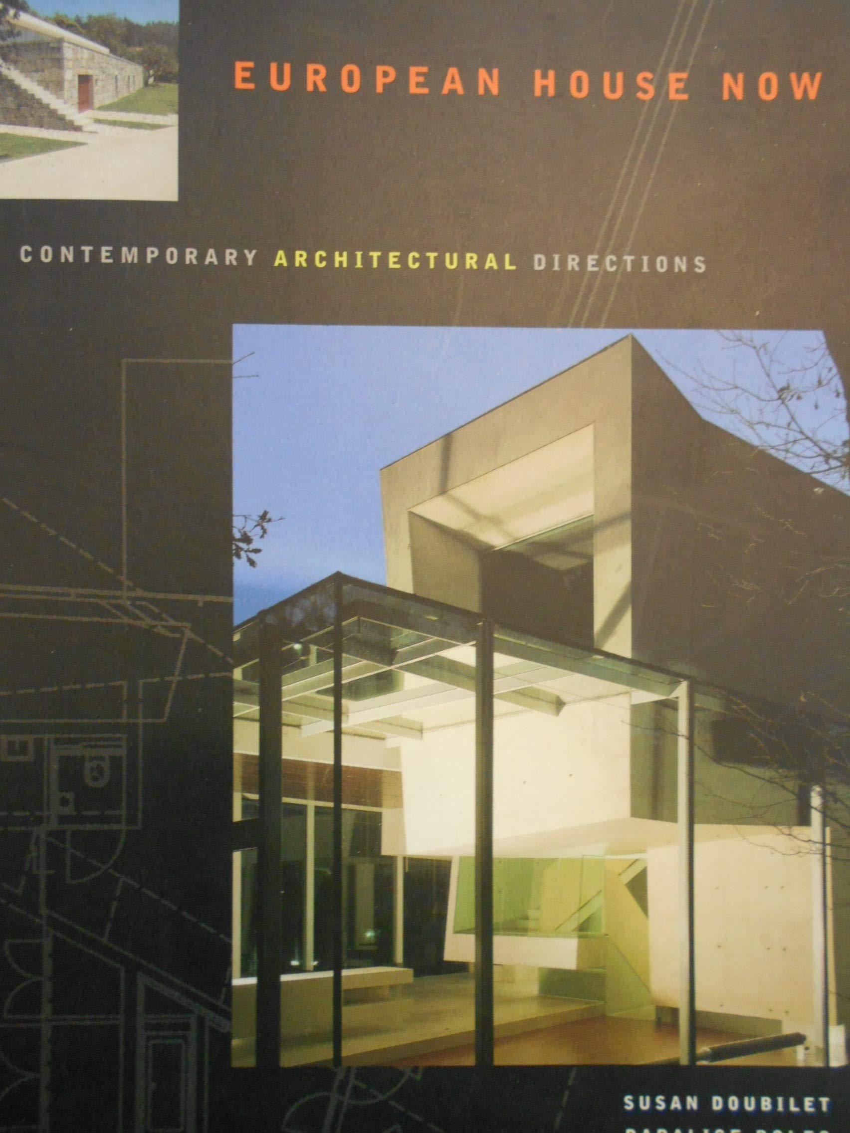 European House Now: Contemporary Architectural Directions Architecture