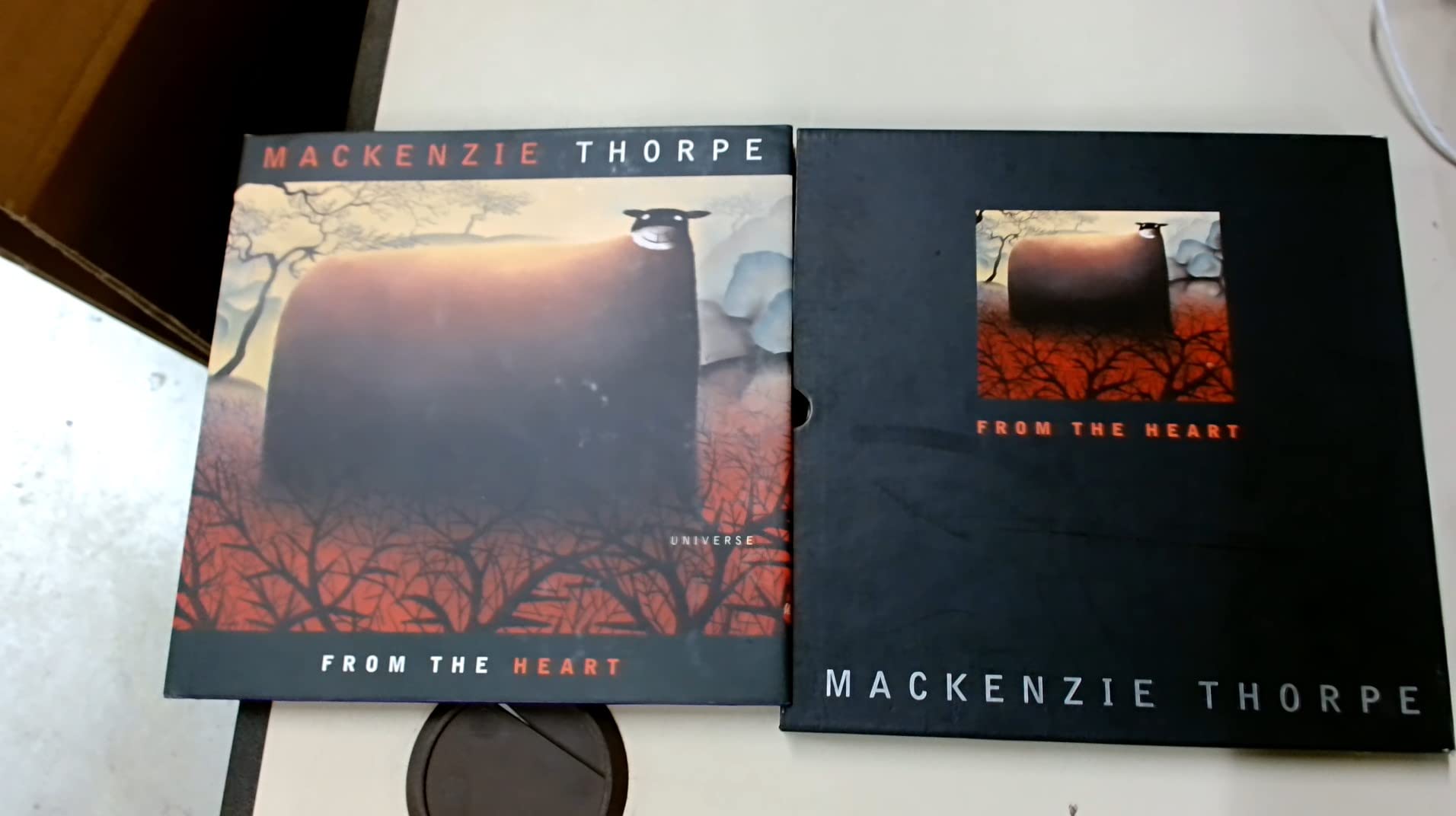 Mackenzie Thorpe: From the Heart Film, Art & Culture
