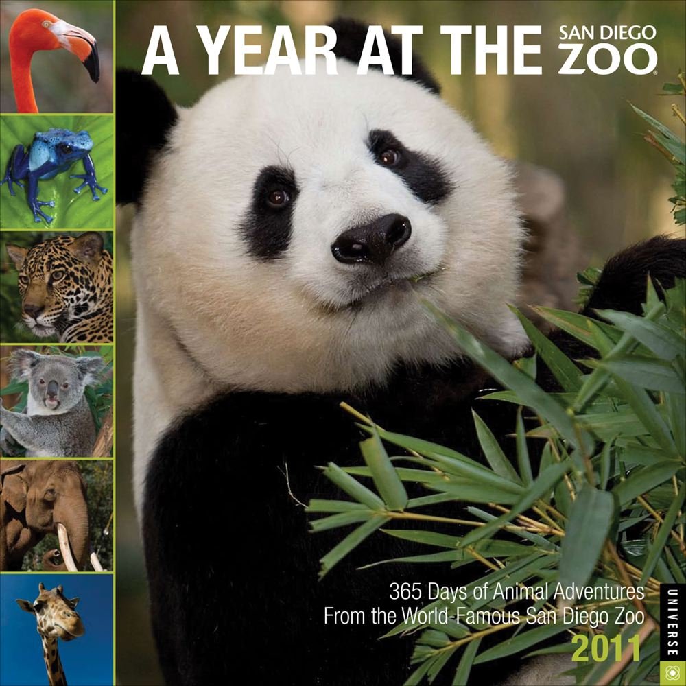 A Year at the San Diego Zoo 2011 Calendar Film, Art & Culture