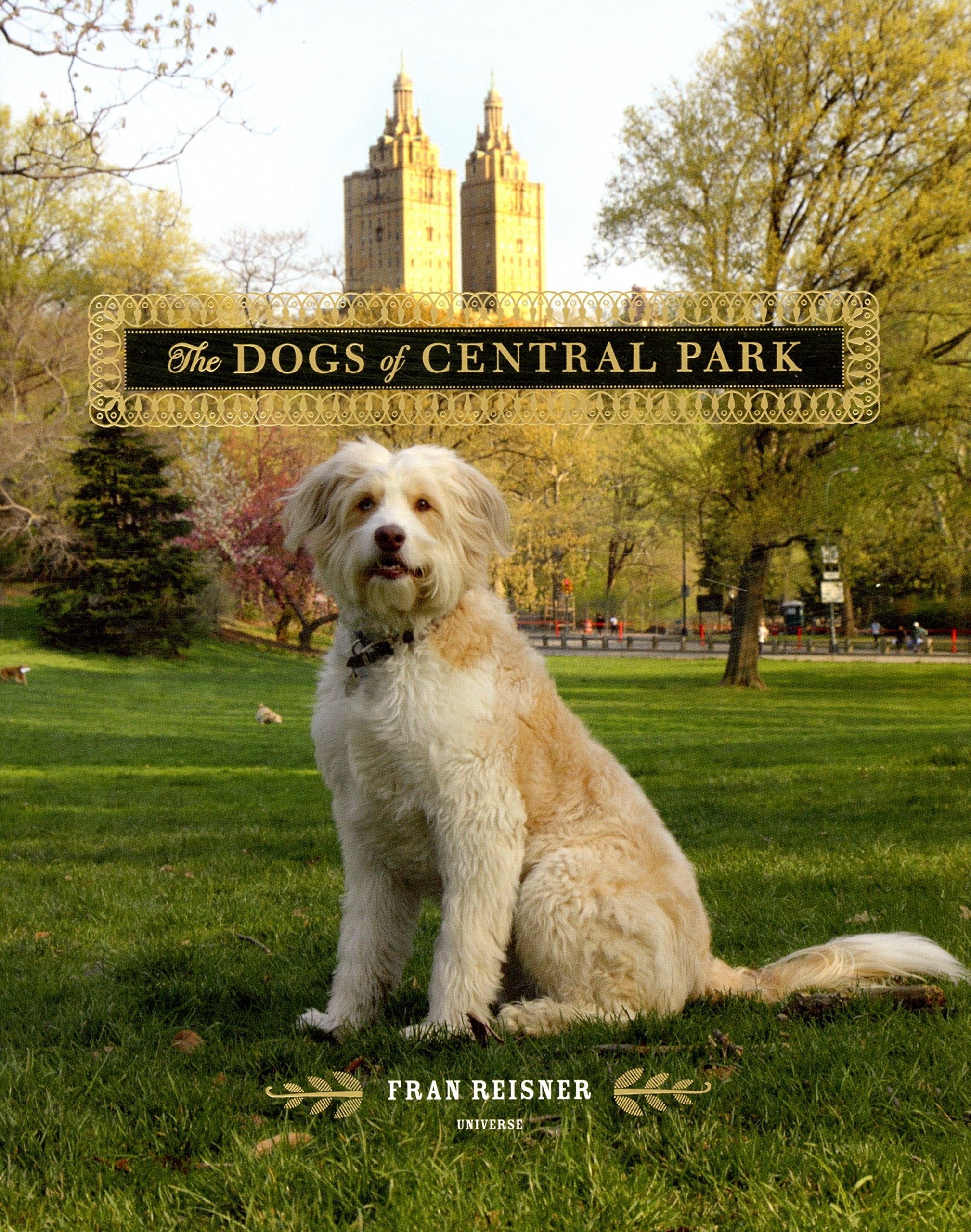 The Dogs of Central Park Travel