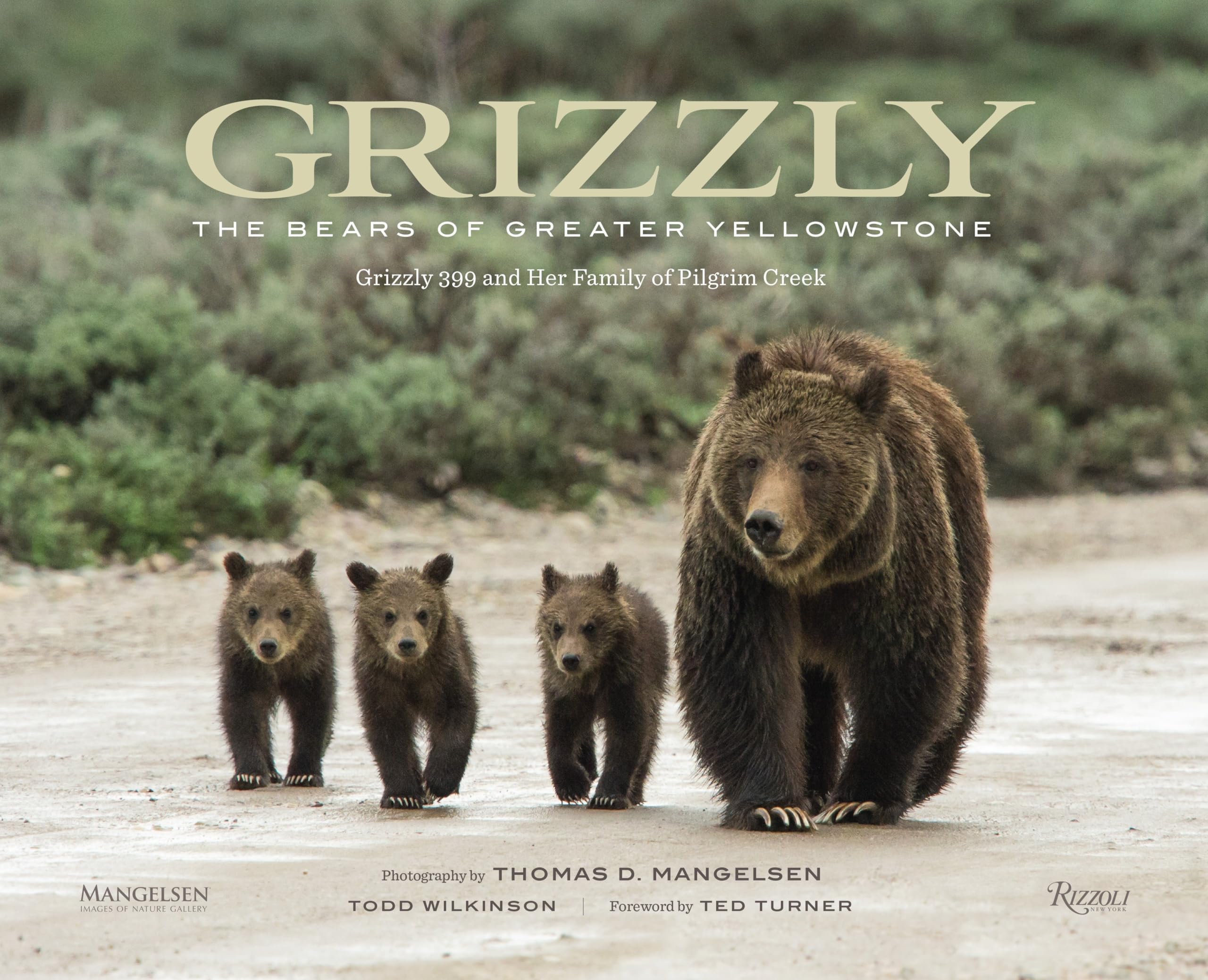 Grizzly: The Bears of Greater Yellowstone Photography