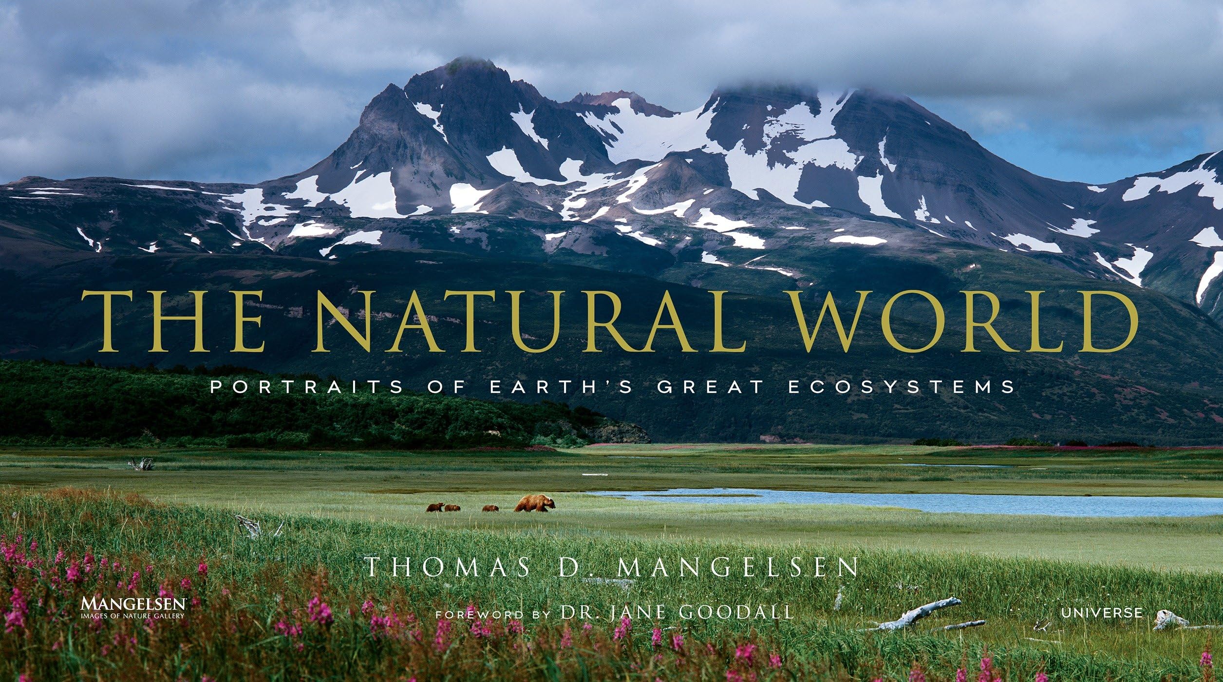 The Natural World: Portraits of Earth's Great Ecosystems book