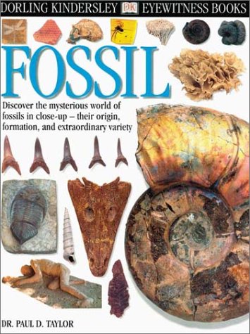 Dk Eyewitness Fossil (DK Eyewitness Books) Non-fiction