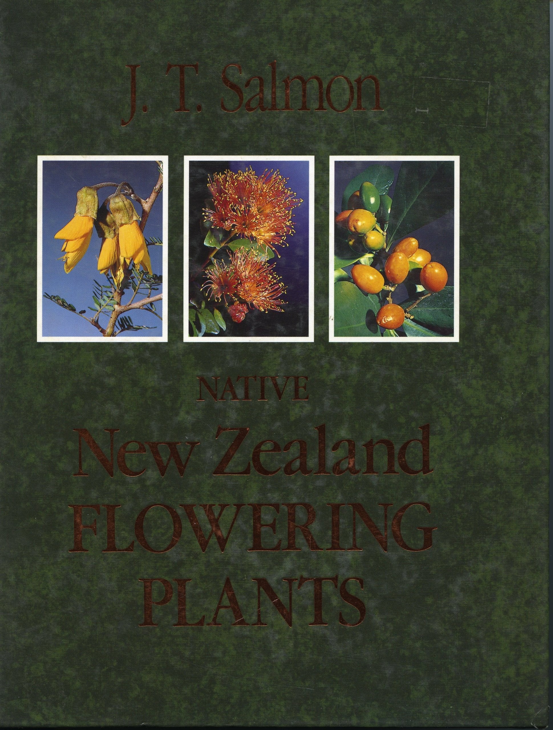 Native New Zealand Flowering Plants Mathematics