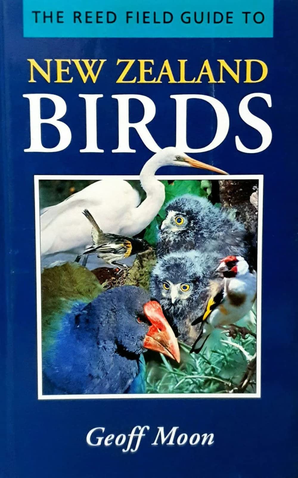 A Field Field Guide to New Zealand Birds Books