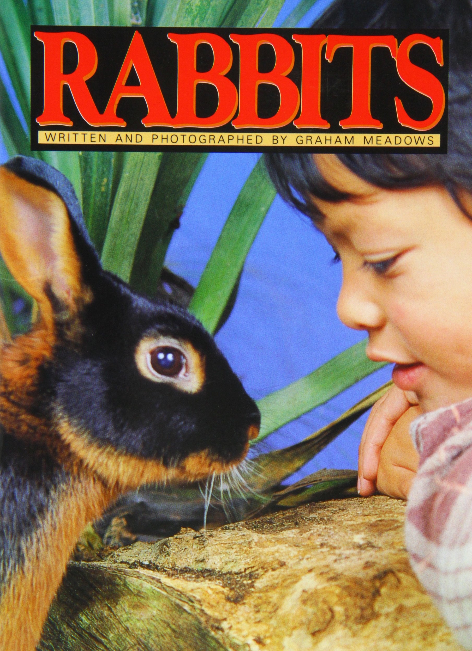 What a World! (Literacy Links Plus Guided Readers Fluent) Novels & Short Stories