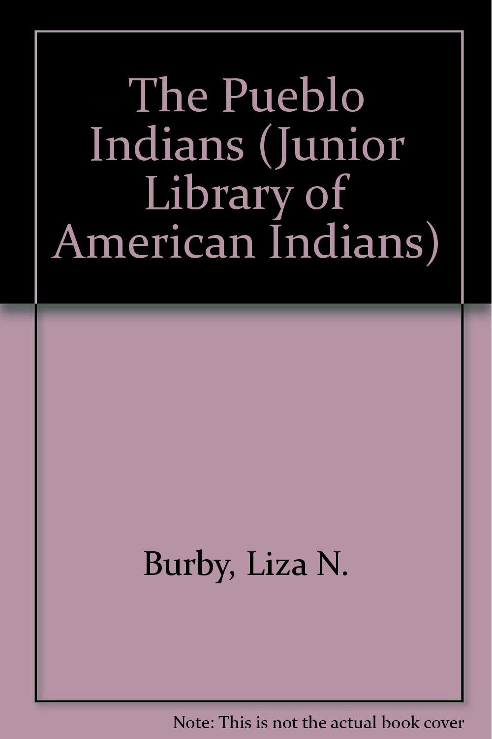 The Pueblo Indians (Junior Library of American Indians) Books