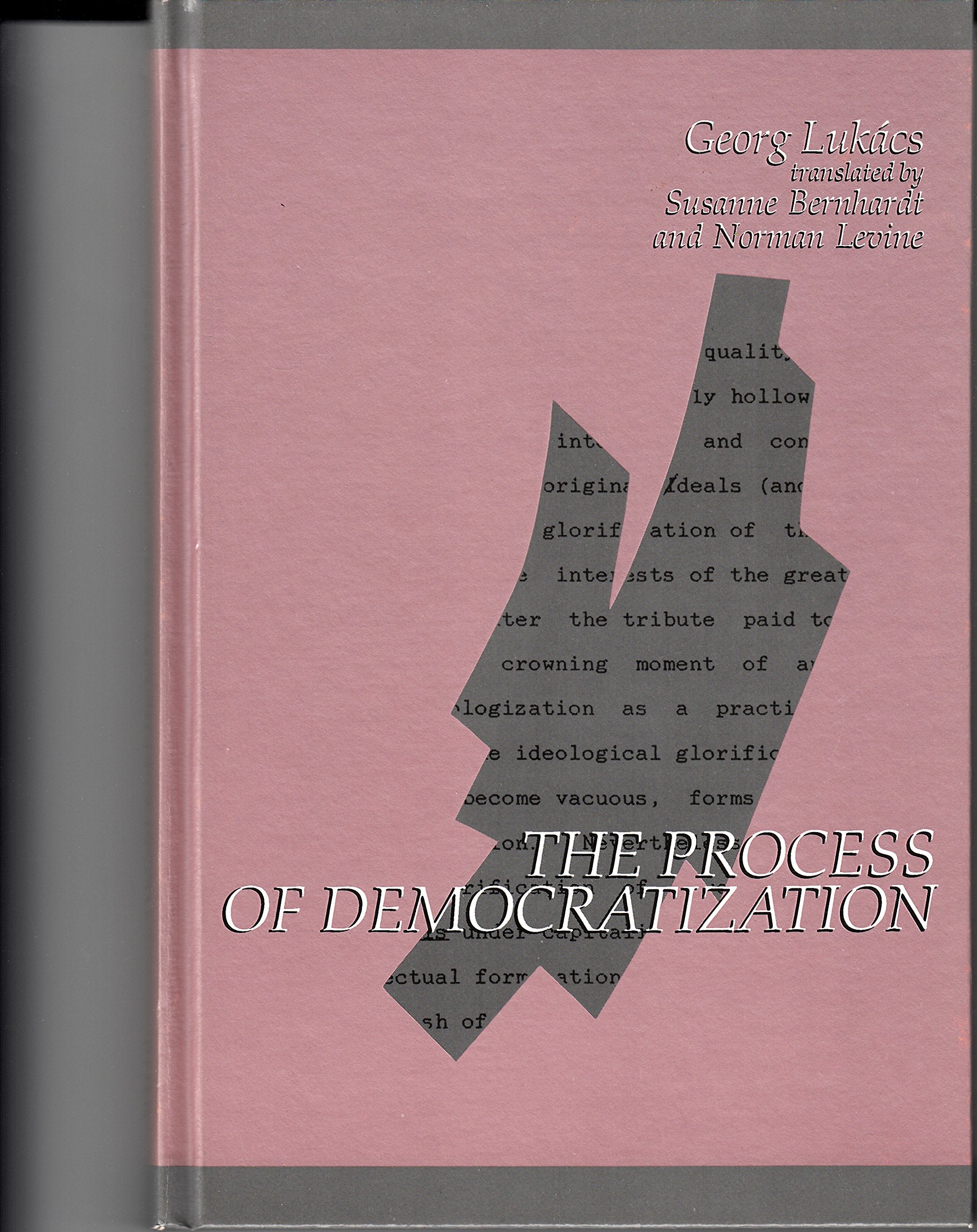 The Process of Democratization Philosophy Books