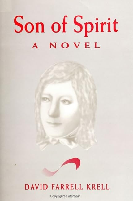 Son of Spirit: A Novel (Suny Series in Contemporary Continental Philosophy) Contemporary literature