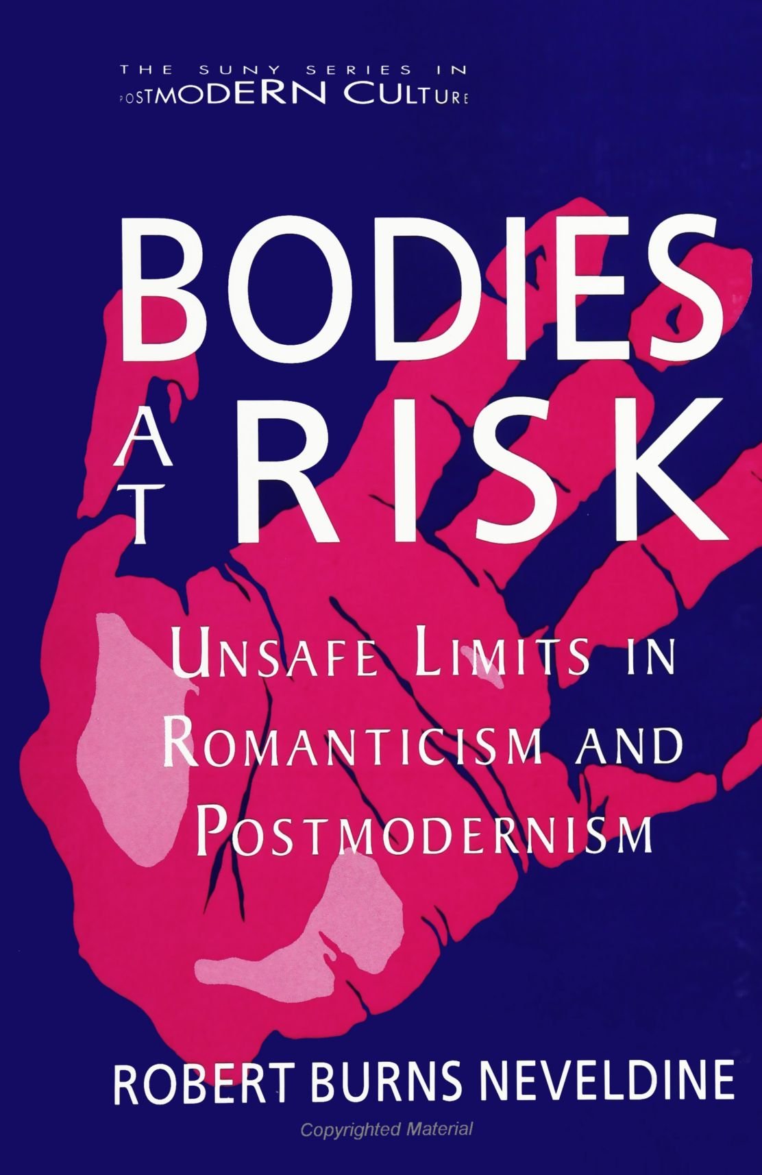Bodies at Risk: Unsafe Limits in Romanticism and Postmodernism (Suny Series in Postmodern Culture) book