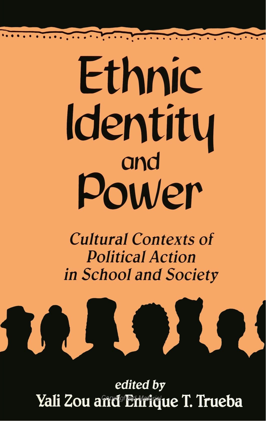 Ethnic Identity and Power: Cultural Contexts of Political Action in School and Society (Suny Series, Power, Social Identity, and Education) Books