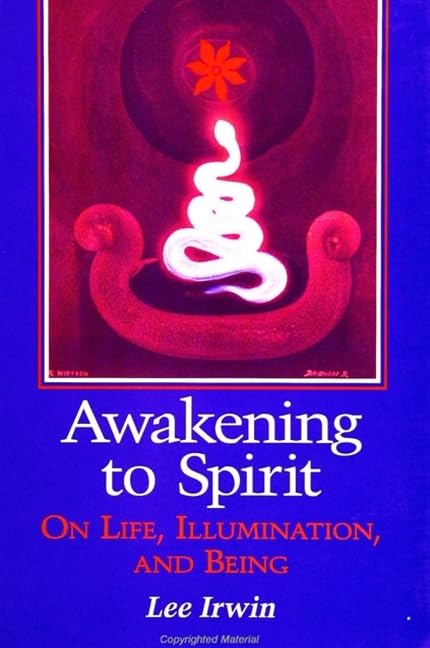 Awakening to Spirit: On Life, Illumination, and Being (Suny Series, Explorations in Contemporary Spirituality) Psychology