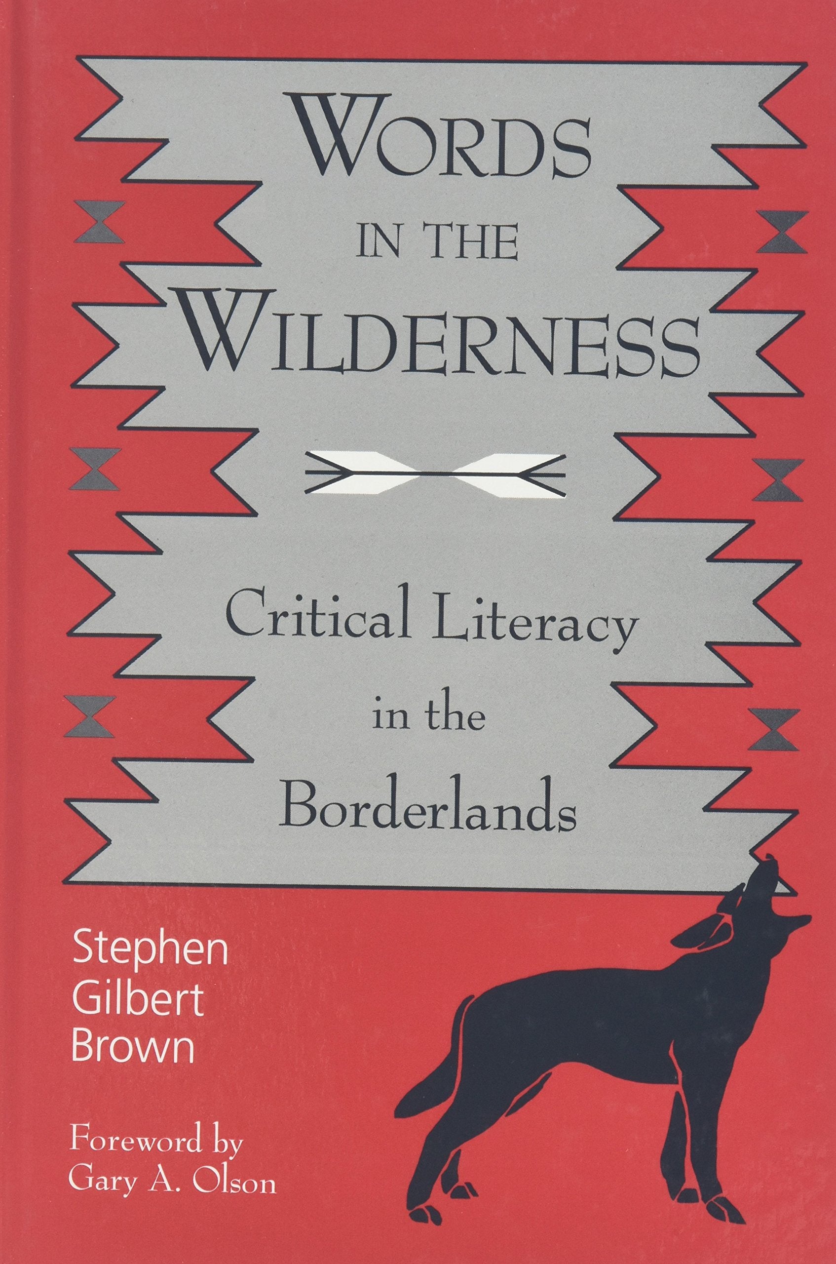 Words in the Wilderness: Critical Literacy in the Borderlands (Suny Series, Interruptions -- Border Testimony(Ies) and Critical Discourses/S) Social Sciences
