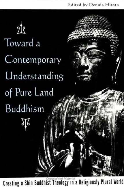Toward a Contemporary Understanding of Pure Land Buddhism: Creating a Shin Buddhist Theology in a Religiously Plural World (Suny Series in Buddhist Studies) Philosophy