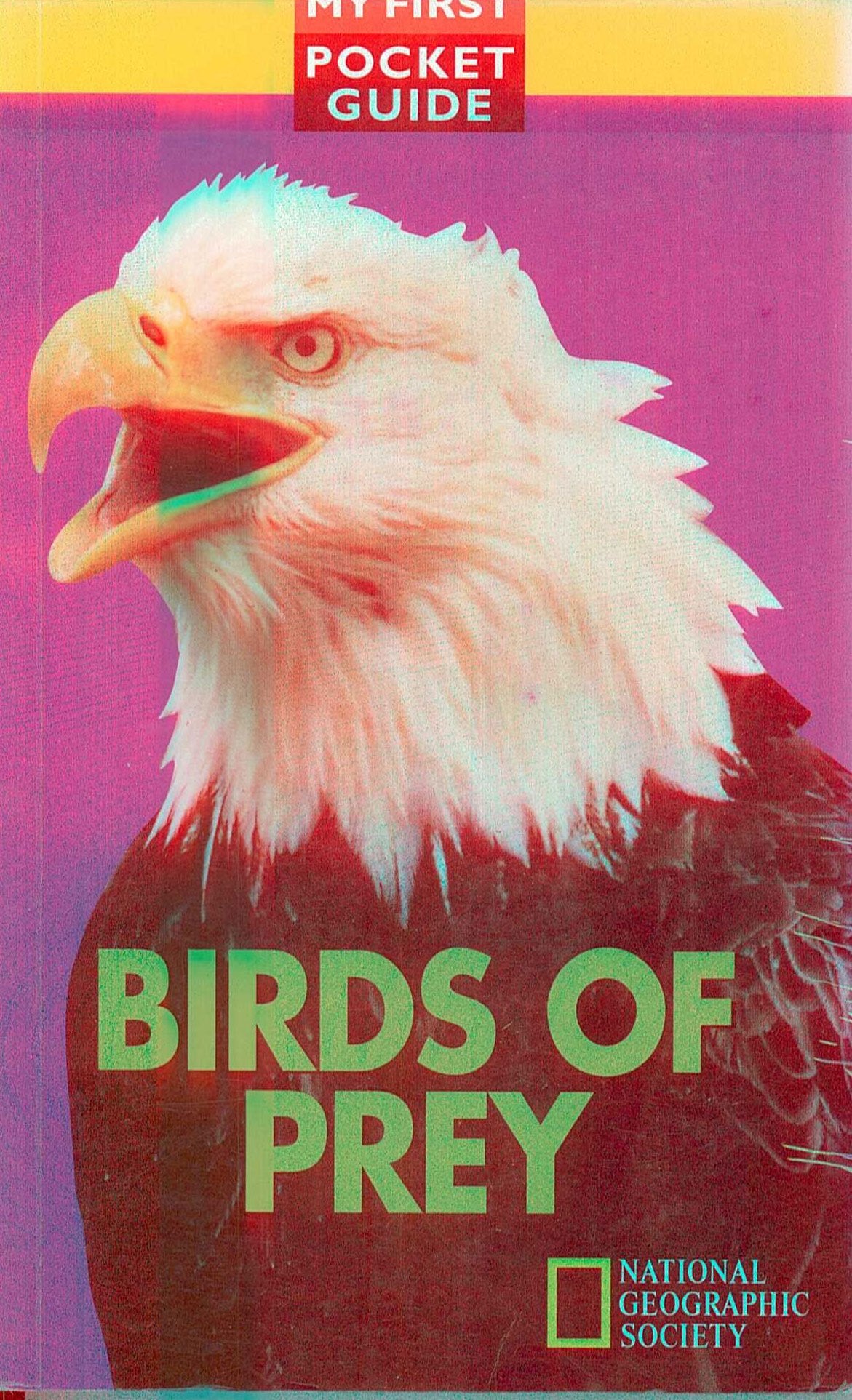 Birds of prey (My first pocket guide) Books