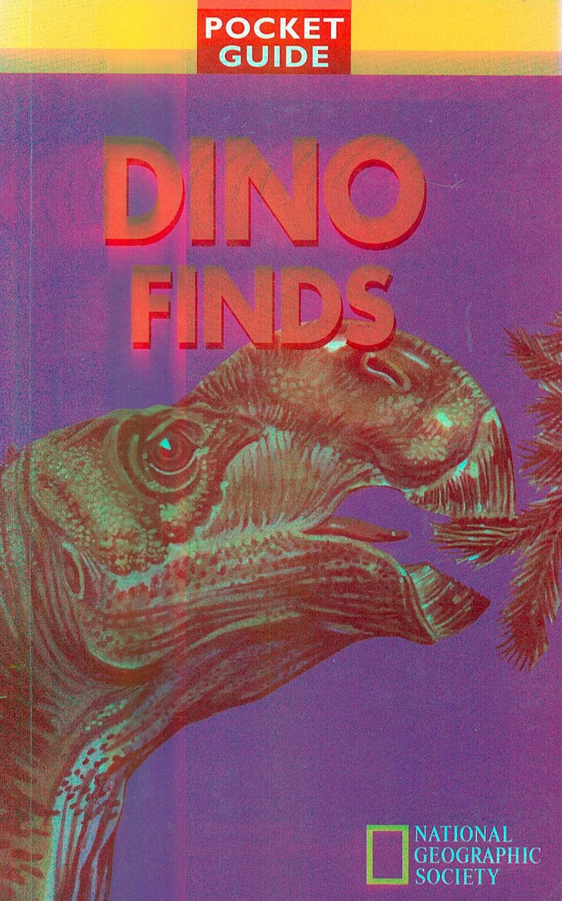Dino Finds (My First Pocket Guide) by Patricia Fahy Frakes Books