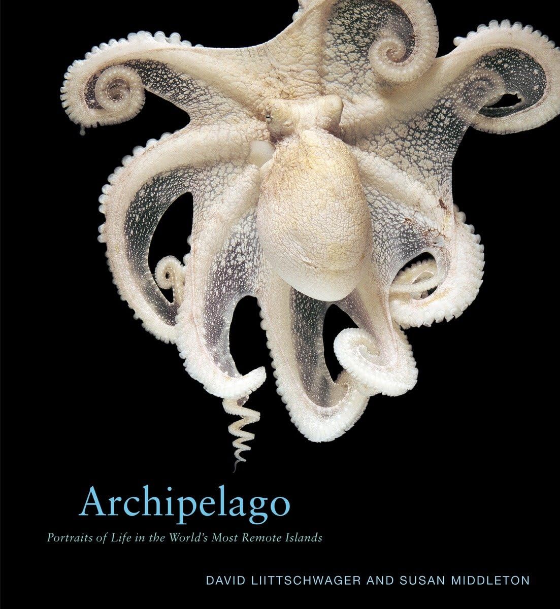 Archipelago: Portraits of Life in the World's Most Remote Island Sanctuary Mathematics