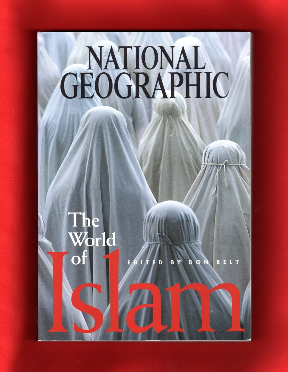 The World of Islam book