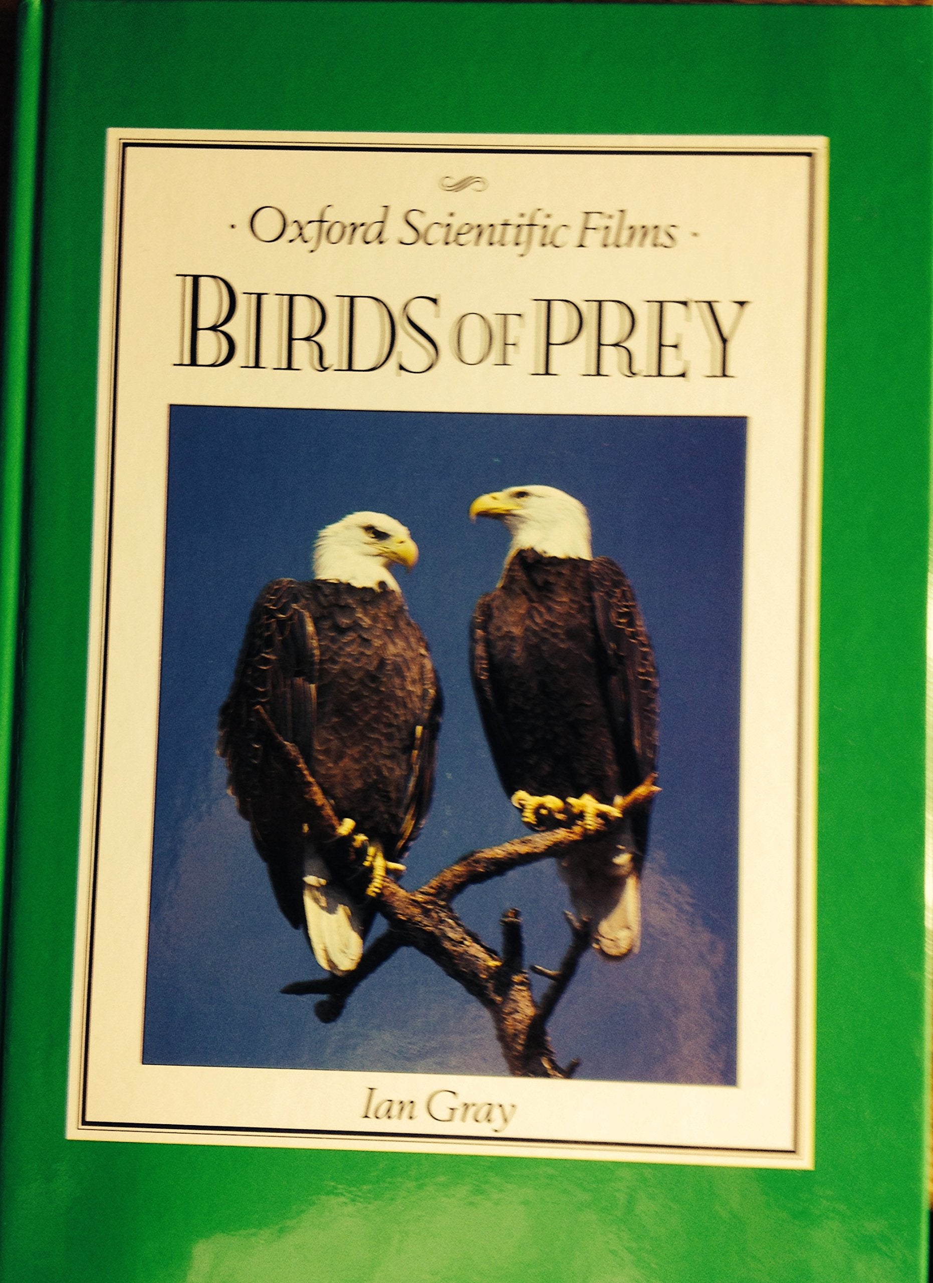 Birds of Prey (Oxford Scientific Films) Business & Technology
