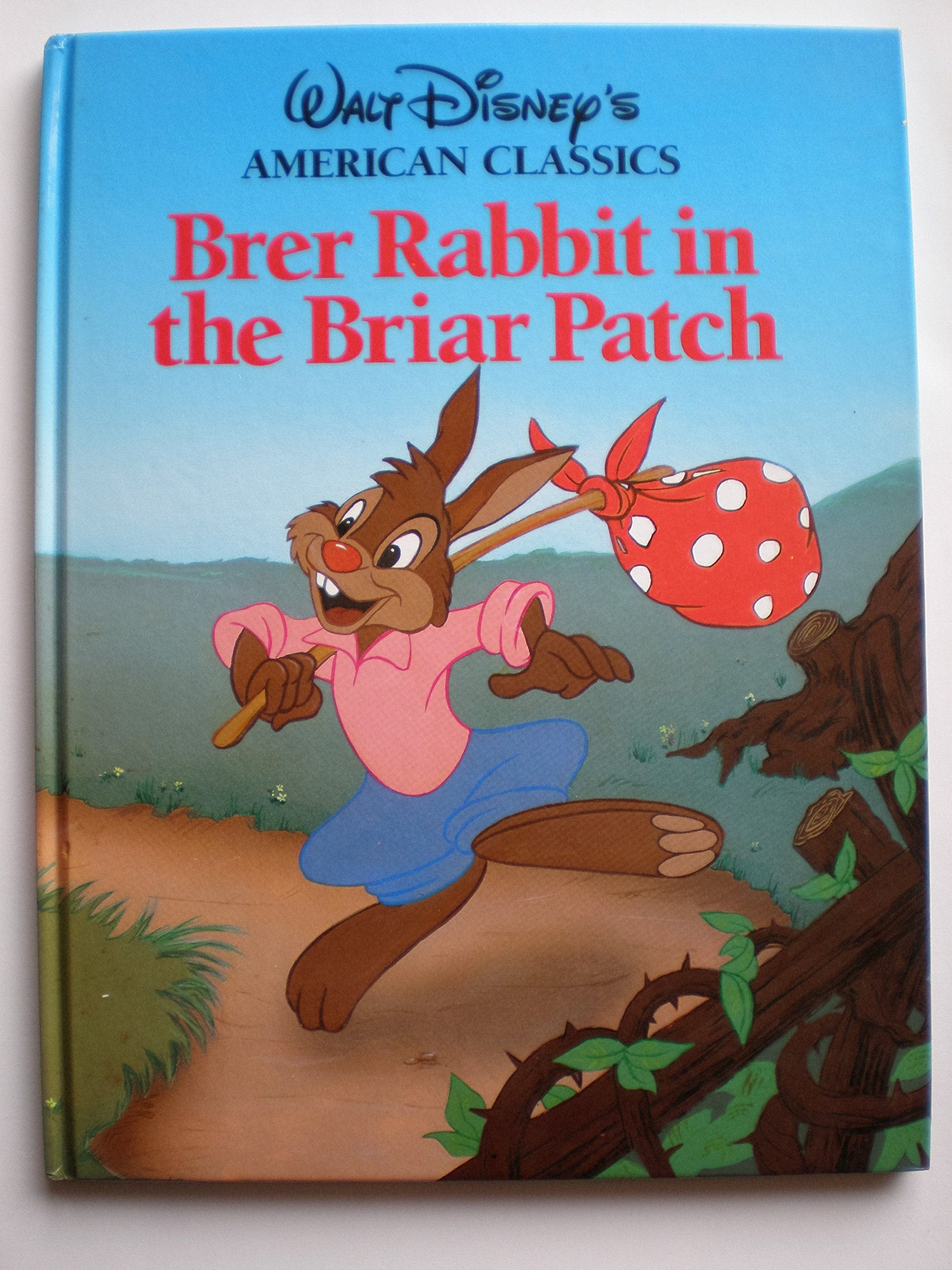 Br'Er Rabbit in the Briar Patch book