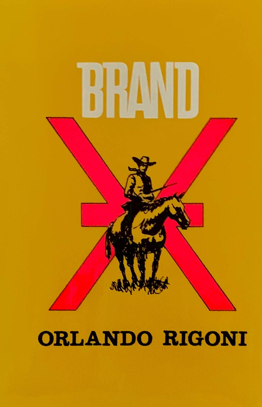 Brand X (Curley Large Print Books) Contemporary literature