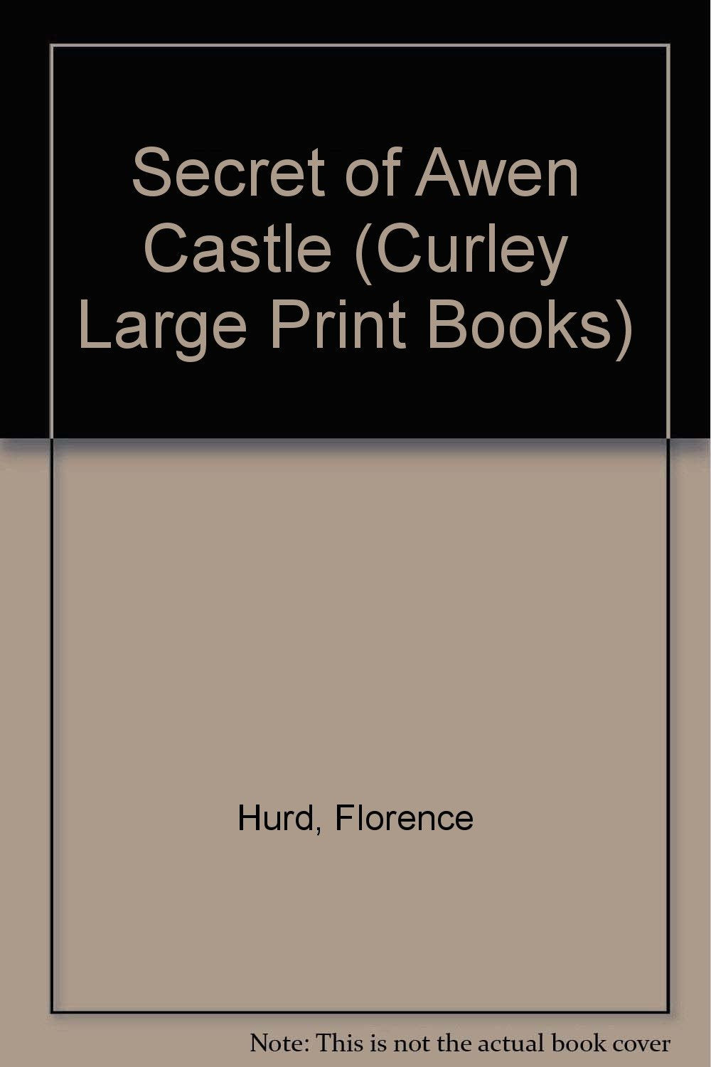 Secret of Awen Castle (Curley Large Print Books) Contemporary literature