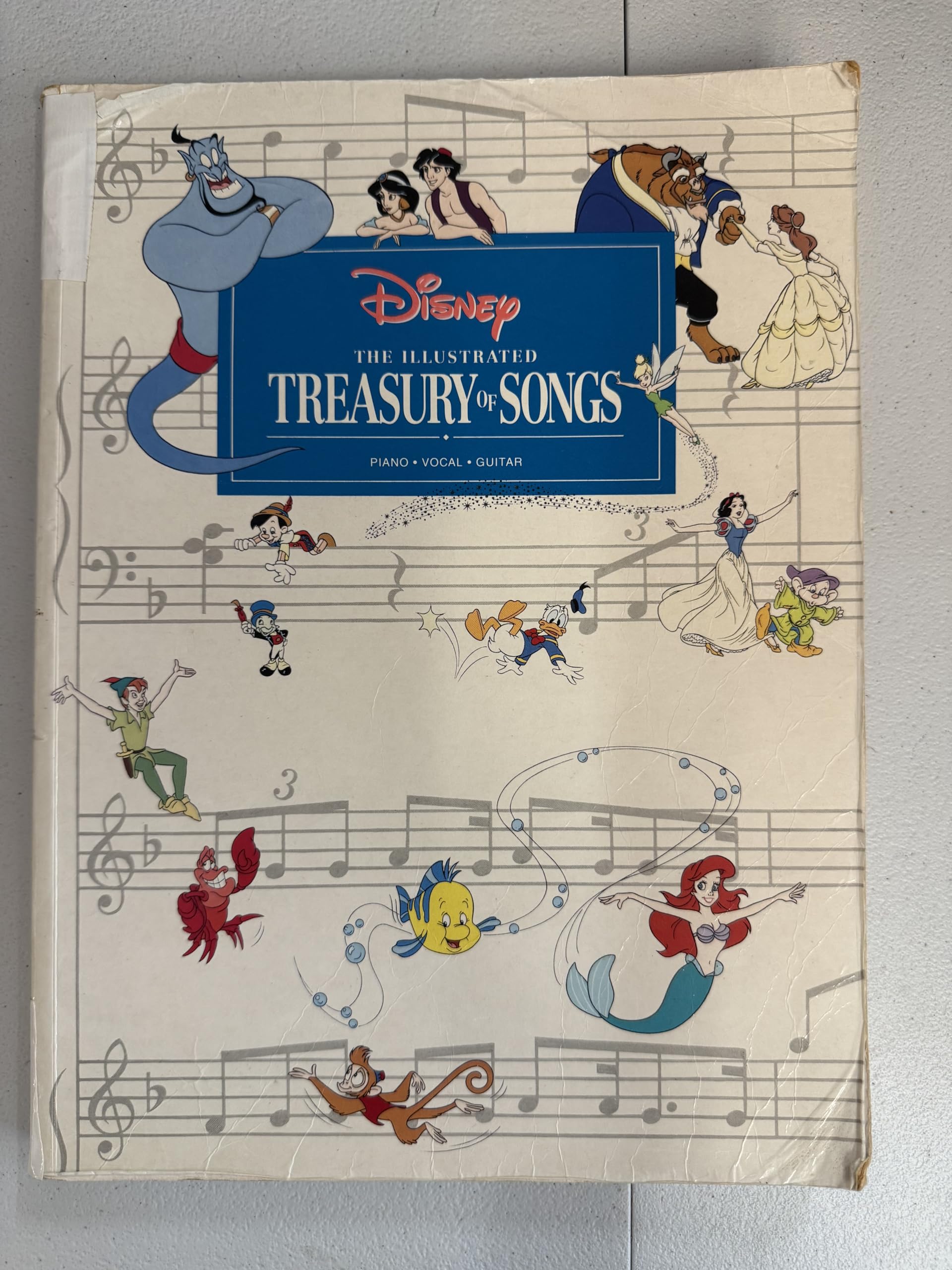 Disney: The Illustrated Treasury of Songs : Piano, Vocal, Guitar Books